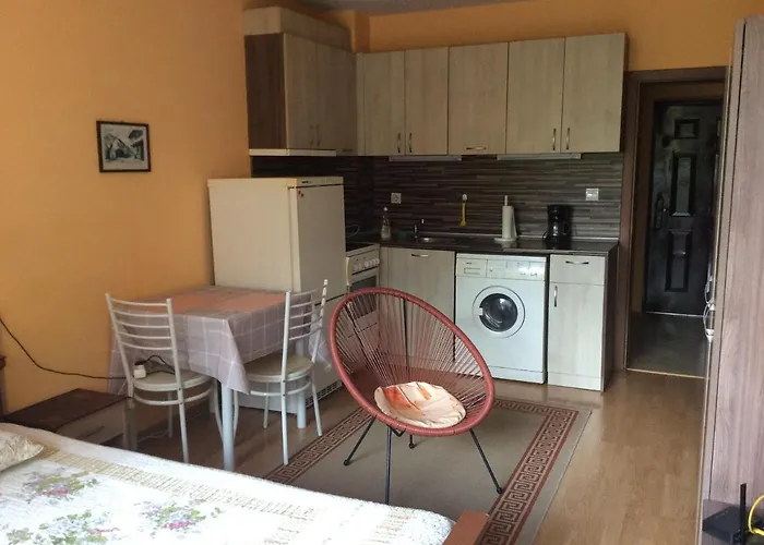 Marina Μπουργκάς